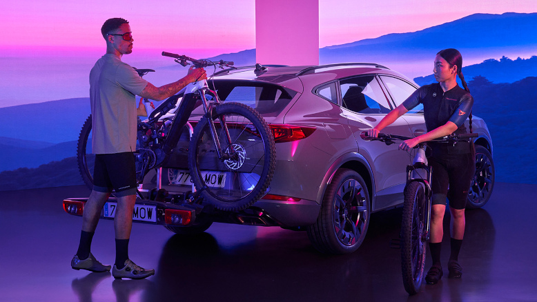 Pi&egrave;ces d&eacute;tach&eacute;es Cupra