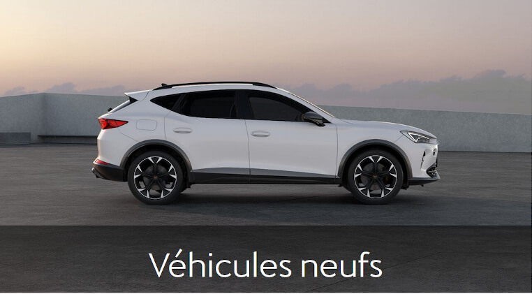 Véhicules Neufs cupra 17
